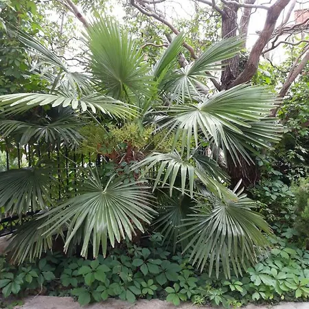 Apartamento теа Sandanski